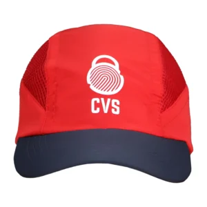 CVS Security Solutions
